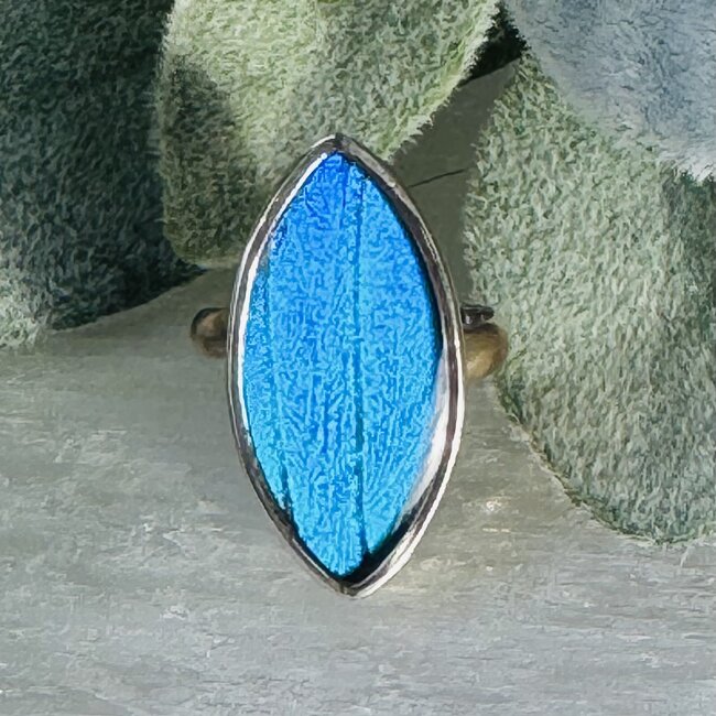 Blue Butterfly Wing Rings - Adjustable Marquise Bezel Set - Sterling Silver