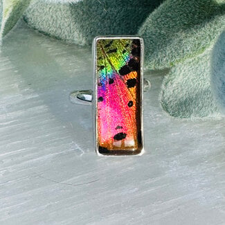 Multi Colored Wing Rings - Adjustable Rectangle Bezel Set - Sterling Silver