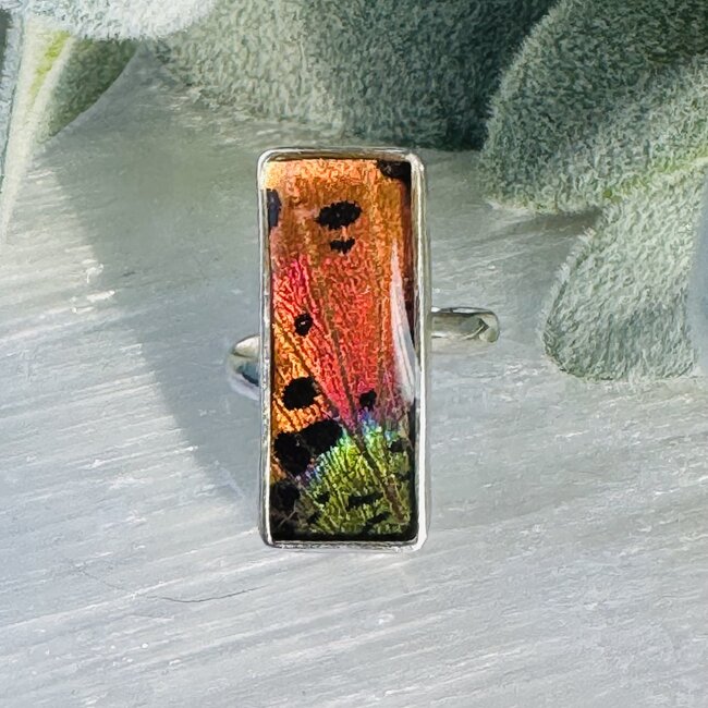 Multi Colored Wing Rings - Adjustable Rectangle Bezel Set - Sterling Silver