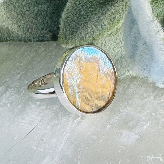 White Iridescent Butterfly Wing Rings - Adjustable Round Circle Bezel Set - Sterling Silver