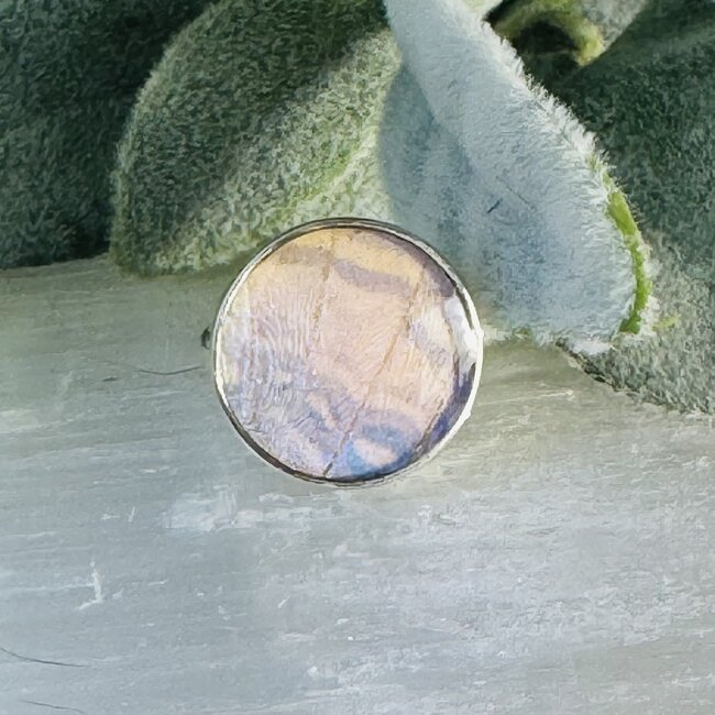 White Iridescent Butterfly Wing Rings - Adjustable Round Circle Bezel Set - Sterling Silver