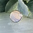 White Iridescent Butterfly Wing Rings - Adjustable Round Circle Bezel Set - Sterling Silver