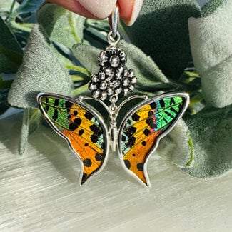 Multi Colored Butterfly Wing Pendants - Bezel Set Floral Sterling Silver