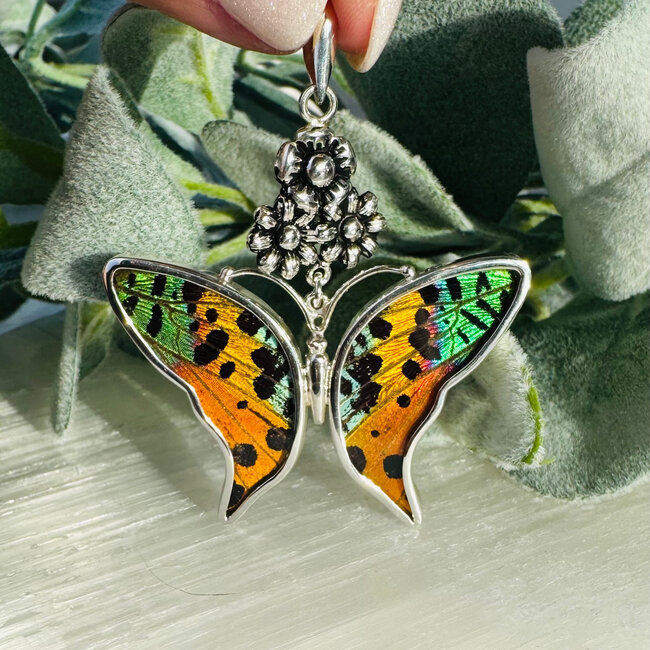 Multi Colored Butterfly Wing Pendants - Bezel Set Floral Sterling Silver