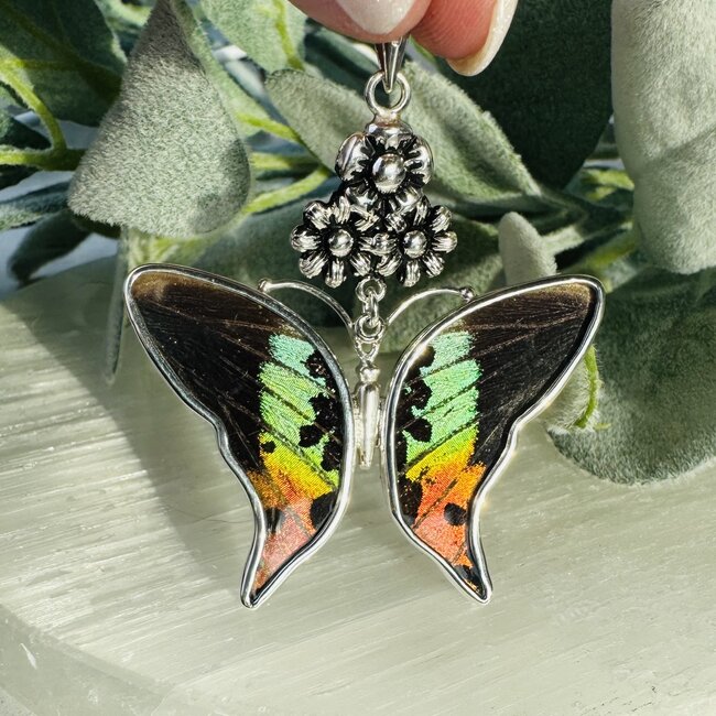 Multi Colored Butterfly Wing Pendants - Bezel Set Floral Sterling Silver