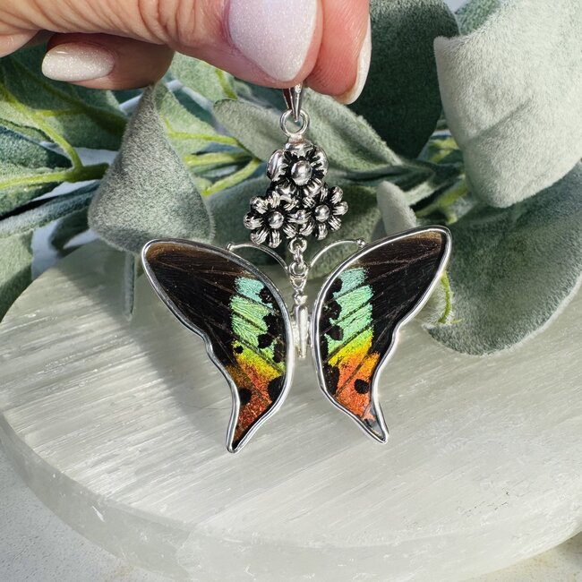 Multi Colored Butterfly Wing Pendants - Bezel Set Floral Sterling Silver