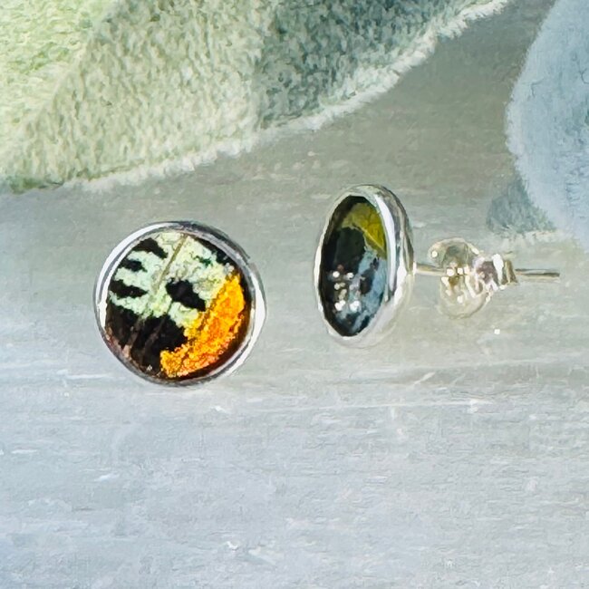 Multi Colored Butterfly Wing Earrings - Round Circle Studs Bezel Set - Sterling Silver