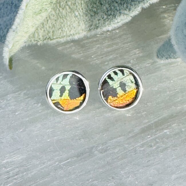 Multi Colored Butterfly Wing Earrings - Round Circle Studs Bezel Set - Sterling Silver