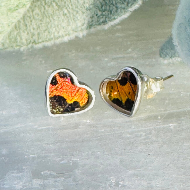 Multi Colored Butterfly Wing Earrings - Heart Studs Bezel Set - Sterling Silver