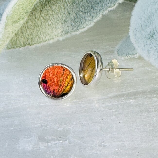 Multi Colored Rainbow Butterfly Wing Earrings - Round Circle Studs Bezel Set - Sterling Silver