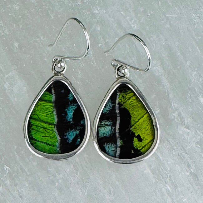 Green & Blue Butterfly Wing Earrings - Dangle Drop Teardrop Pear Bezel Set - Sterling Silver