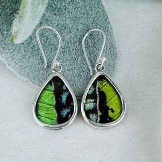 Green & Blue Butterfly Wing Earrings - Dangle Drop Teardrop Pear Bezel Set - Sterling Silver