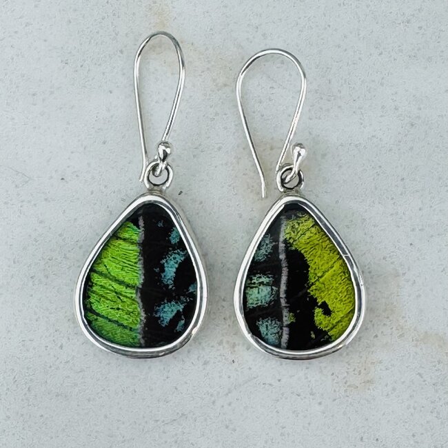 Green & Blue Butterfly Wing Earrings - Dangle Drop Teardrop Pear Bezel Set - Sterling Silver