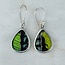 Green & Blue Butterfly Wing Earrings - Dangle Drop Teardrop Pear Bezel Set - Sterling Silver