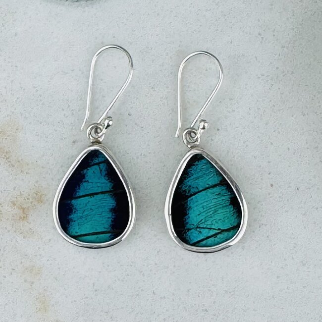 Blue Butterfly Wing Earrings - Dangle Drop Teardrop Pear Bezel Set - Sterling Silver