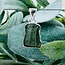 Moldavite Pendants - #2 Rough Raw Natural Large - Bezel Set Sterling Silver