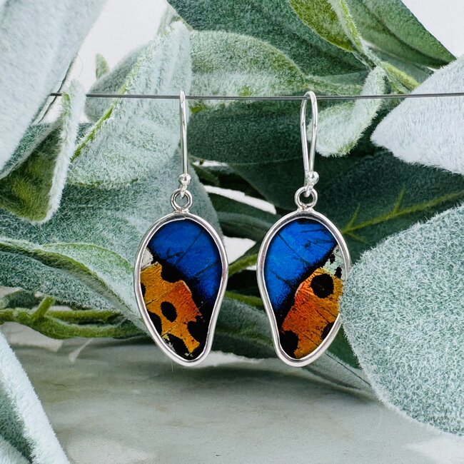 Multi Colored Butterfly Wing Earrings & Necklace Set - Dangle Drop Natural Free Form Bezel Set - Sterling Silver