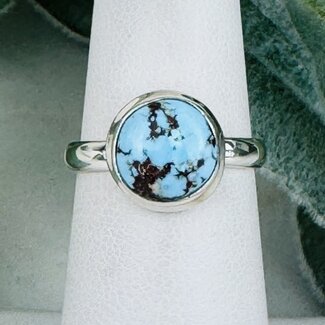 Golden Hill Turquoise Rings - Size 6 Round Circle Bezel Set Sterling Silver