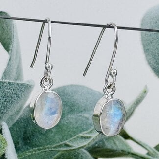 Rainbow Moonstone Earrings - Dangle Drop Oval Faceted - Bezel Set Sterling Silver
