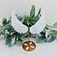 Selenite Angel Wings on Gold Stand Pin - 7-8" Carving Specimen