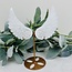 Selenite Angel Wings on Gold Stand Pin - 7-8" Carving Specimen