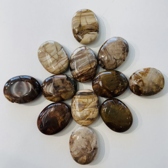 Petrified Wood Palm Pillow Pocket Stone