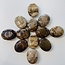 Petrified Wood Palm Pillow Pocket Stone