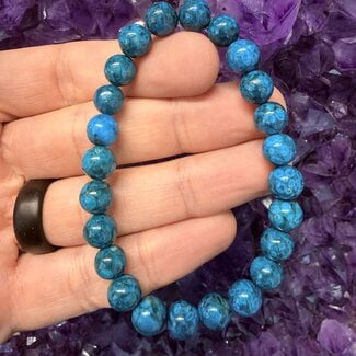 Blue Crinoid Fossil Bracelets - 8mm