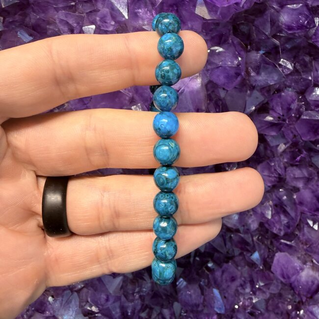 Blue Crinoid Fossil Bracelets - 8mm