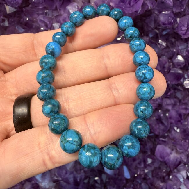 Blue Crinoid Fossil Bracelets - 8mm