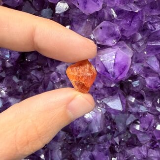 Orange Scheelite - Rough Raw Natural