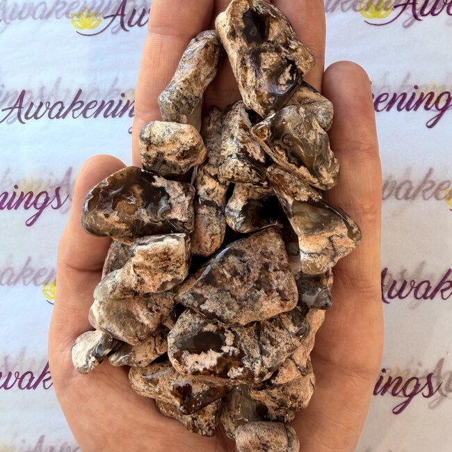 Princess Stone Agate - Tumbled