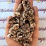 Princess Stone Agate - Tumbled