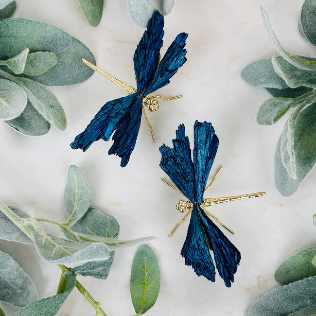 Black Kyanite (Blue Aura) Dragonfly Dragonflies Gold Body Legs - Medium