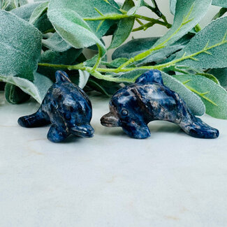 Sodalite Dolphins - 3" Medium Animal Carving Figurine