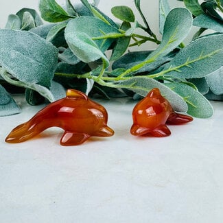 Carnelian Dolphins - 3" Medium Animal Carving Figurine