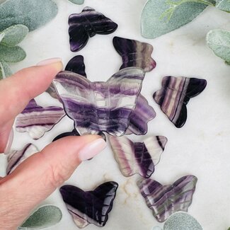 Rainbow Fluorite Butterfly Butterflies - Medium 2" Animal Carvings Figurine