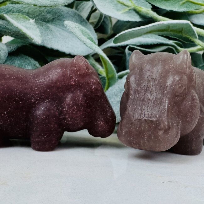 Purple Fluorite Hippos - 3" Medium Animal Carving Figurine Matte