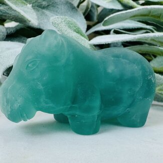 Green Fluorite Hippos - 3" Medium Animal Carving Figurine Matte
