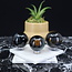 Blue Tigers Tiger's Eye (Hawks Eye) Spheres Orb Globe - 35-40mm