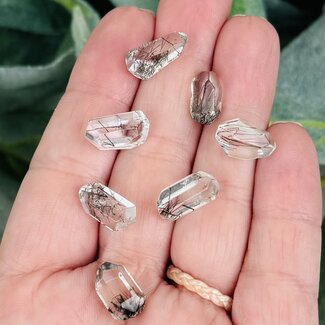 Black Tourmaline in Clear Quartz (Tourmalated Tourmalinated Rutilated Quartz) Faceted Free Forms - Small .5-1" (AA Grade)