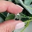 Black Tourmaline in Clear Quartz (Tourmalated Tourmalinated Rutilated Quartz) Faceted Free Forms - Small .5-1" (AA Grade)