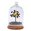Black Tourmaline Bonsai Wishing Tree with Crystal Dome on Wood Base - 4-5" (Entire Piece) - Chips Gold Wire