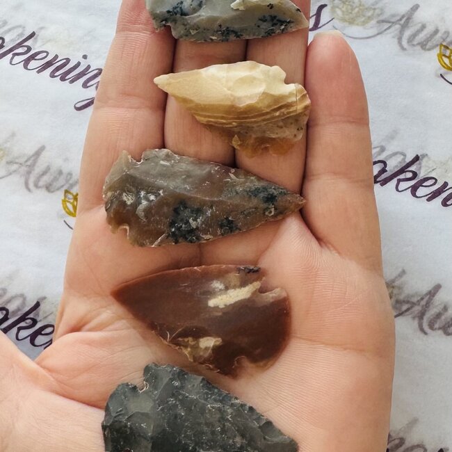 Jasper Arrowheads Arrow Heads - 1.5" Medium