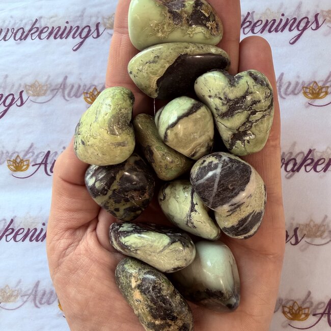 Wavellite (Devonite Fischerite Lasionite Lazionite Bialite) - Tumbled