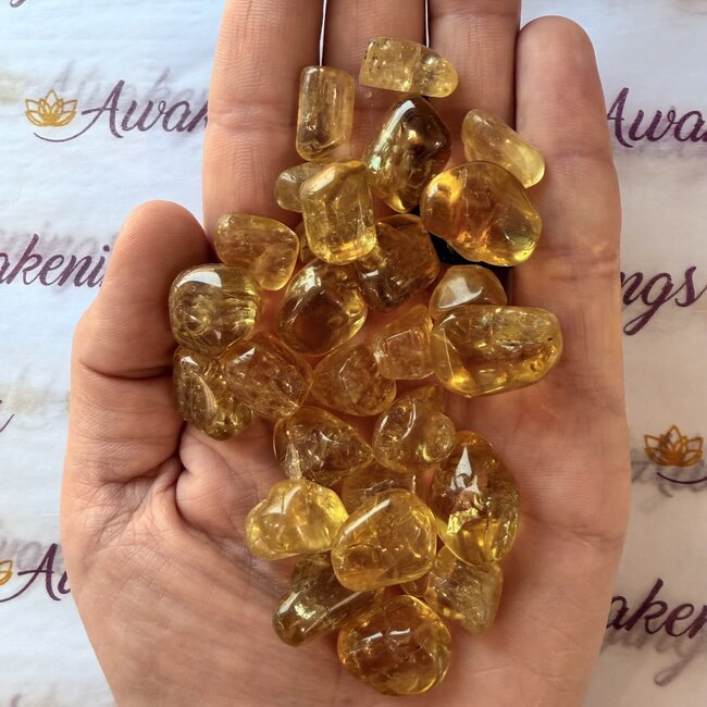 Yellow Apatite - Tumbled