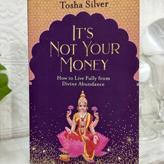 It's Not Your Money Book