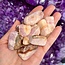 Pink Aragonite - Tumbled
