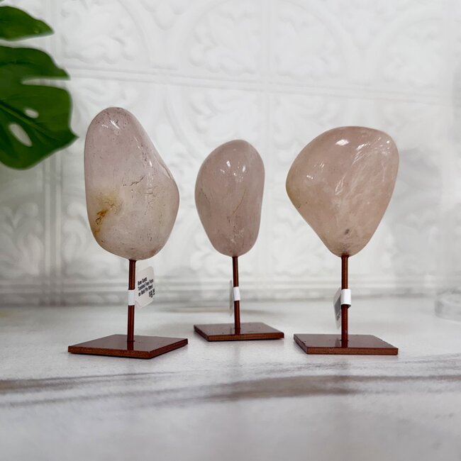 Rose Quartz Tumbled Free Form on Gold Pin Stand - 3.5" Home Decor