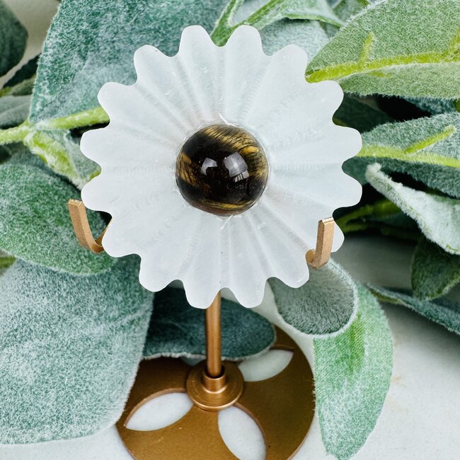 Selenite & Gold Tigers Tiger's Eye Daisy on Gold Pin Stand - 4" Flower Carving